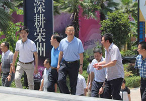 2014年8月13日 自貢市委副書記譚豹在星河地產調研